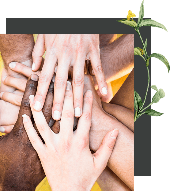 Imagen nuestro propósito